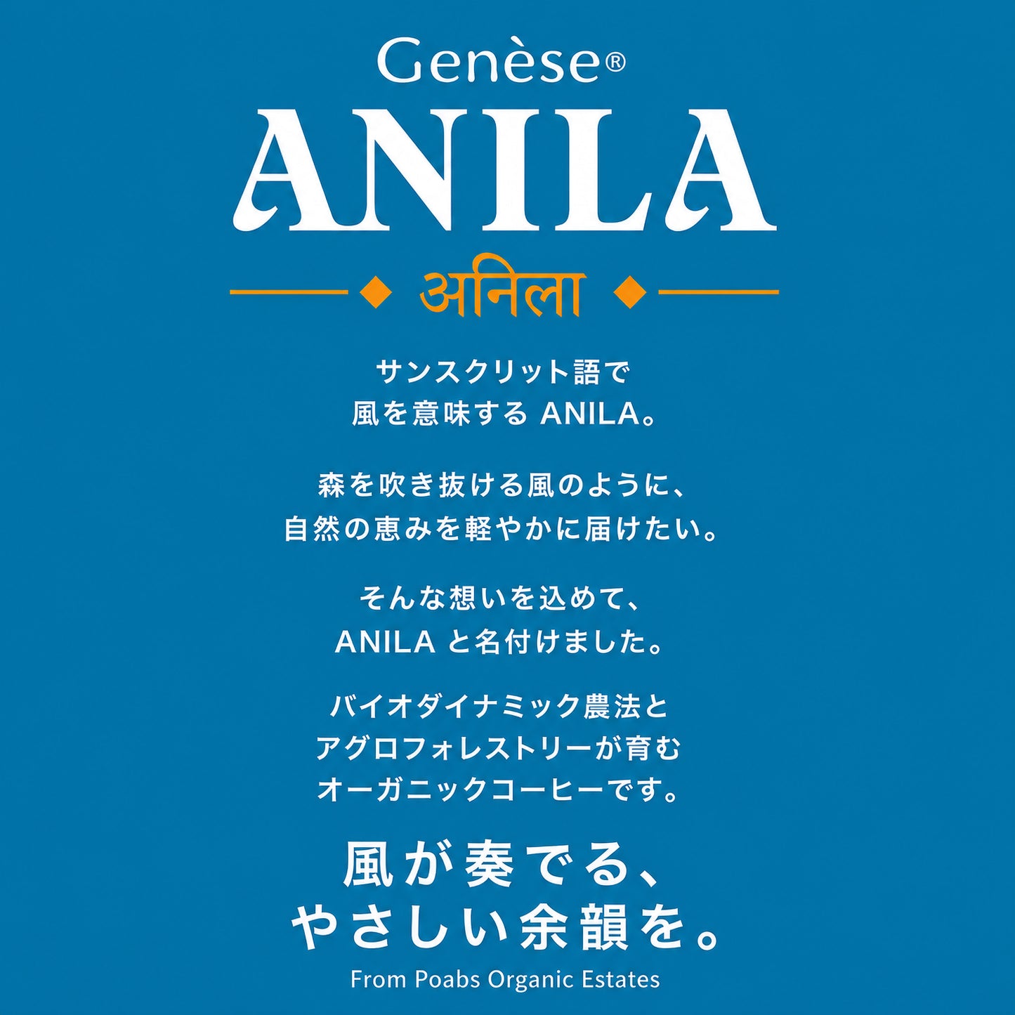 NEW!!!アニラコ ールドブリュー (オーガニック)